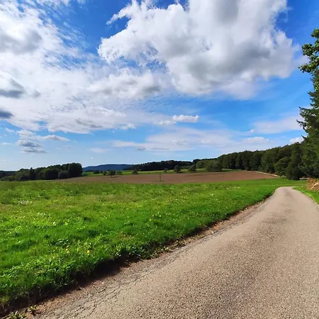 Duplex Proche Foret Et Canal Des Vosges Bains-les-Bains