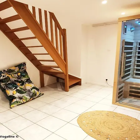 Appartement Duplex Proche Foret Et Canal Des Vosges *