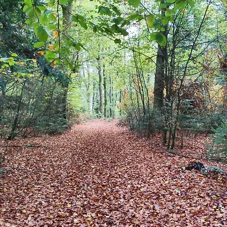 Duplex Proche Foret Et Canal Des Vosges Appartement *